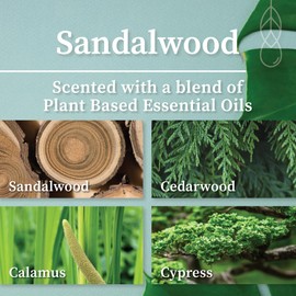 Hemlock Park Crackling Wood Wick Candle Handcrafted with Natural Coconut Wax (Standard 8 oz, Sandalwood)