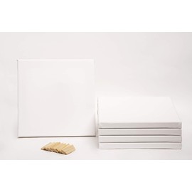 ADEPTNA Pack of 5 Artist Blank Stretched Canvas Frames - 100% Cotton Artist Quality Acid Free Triple Primed Gesso Stretched Canvas Frames with 40 Tightening Keys (20CM X 20CM)