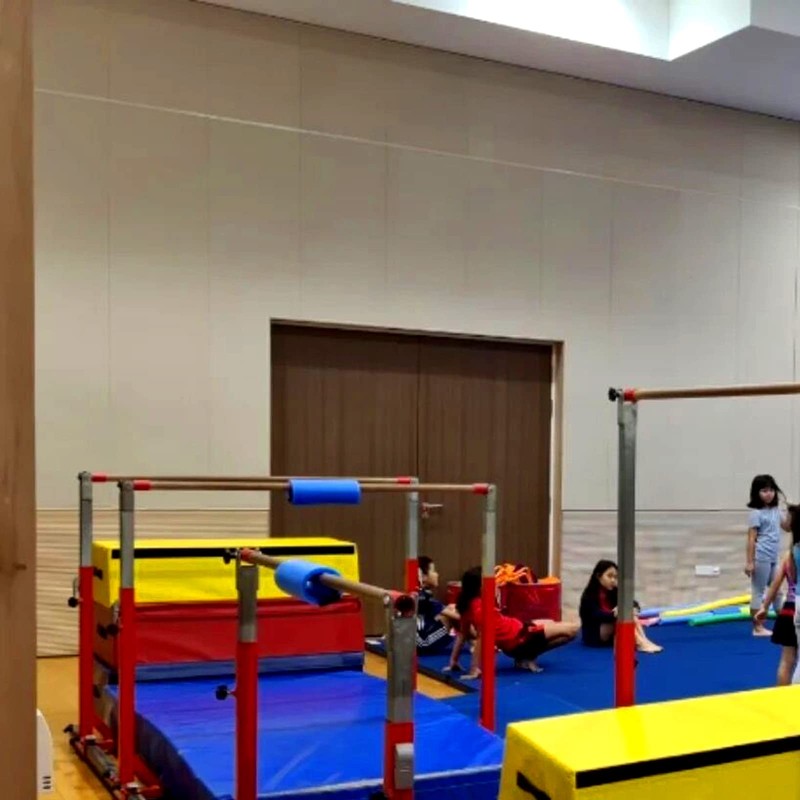 Gymnastics Bar Pad Protective Sleeve for Gymnastics Bars, Uneven Bars