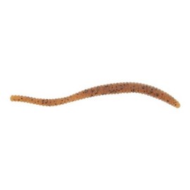 Berkley PowerBait Power Floating Trout Worm , Pumpkinseed, 3" (15 Count)