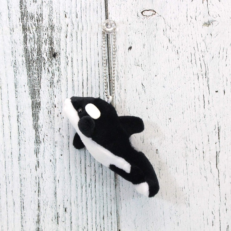 Takeoff SEA Can Orca