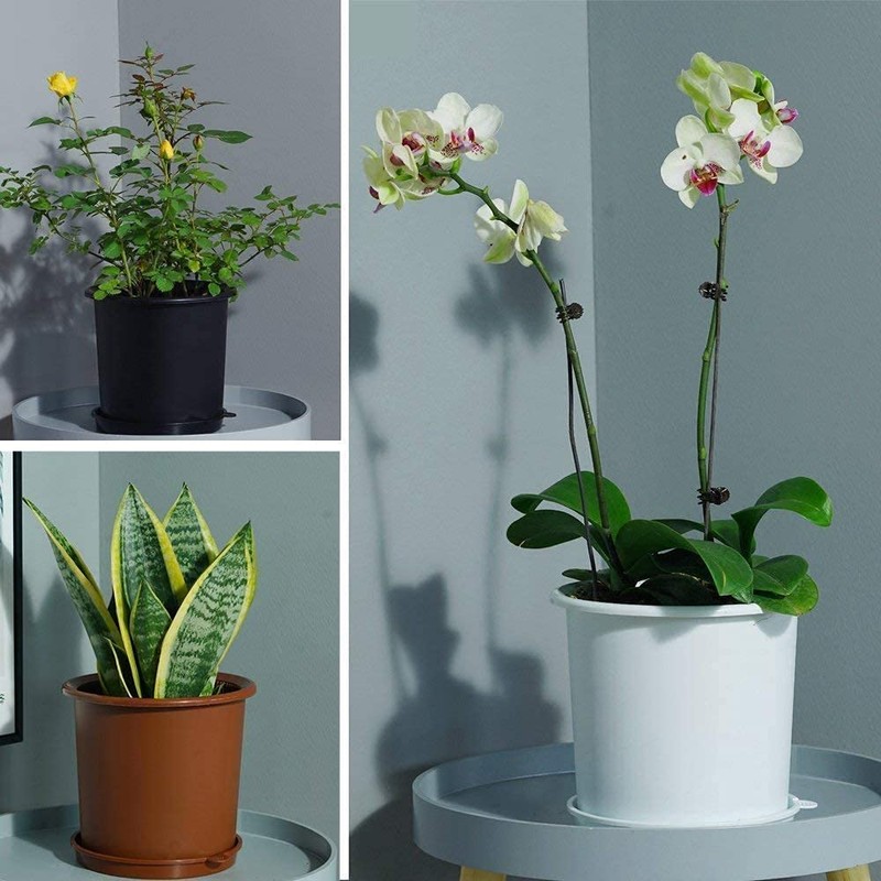 Meshpot 16cm Plastic Orchid Pots With Holes and Saucers -