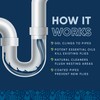 Fruit Fly Drain Treatment | Drain Fly Eliminator | Eliminates