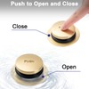 BOOMIBOO Bathtub Drain Tip-Toe Trim Set with Two-Hole Overflow Faceplate,