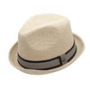 Peter Grimm Depp Fedora Hat, Natural Grey/Black, Large-X-Large