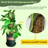 Moss Pole DIY Kit, 6.6/13.2/26.4ft Metal Moss Pole for Plants