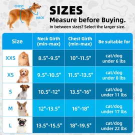 Hipubby Dog Harness with Leash Set, Step in Puppy Harness with No Pull Soft Mesh Pet Harness for Walking, Running, Training, Small Dogs,Cats（Black,L）