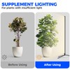 Barrina Grow Lights for Indoor Plants with Stand, 42W 169