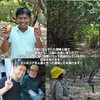 Cambodian raw pepper, salted, 2.5 oz (71 g), pepper, black
