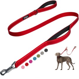 Fida 5 FT Heavy Duty Dog Leash with 2 Comfortable Padded Handles, Traffic Handle & Advanced Easy Snap Hook, Reflective Walking Lead for Large, Medium & Small Breed Dogs, Red