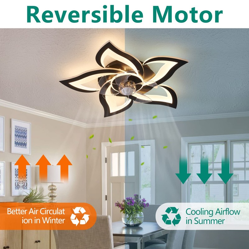 HuixuTe 24" Ceiling Fan with Lights Remote Control, 6 Speeds