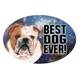 Bulldog BEST DOG EVER! Oval 4"x6" Fridge Car Magnet Large Size USA Made NEW