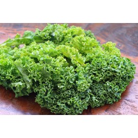 Seeds4planting - Seeds Lettuce Green Curled Leaf for Salad Indoor Non GMO