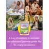 TeeLux Decaf Jasmine Green Tea Bags, Decaffeinated Jasmine Scented Green