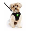 TSA Fast Pass Cat or Dog Leash & Vest Harness