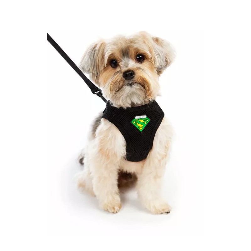 TSA Fast Pass Cat or Dog Leash & Vest Harness