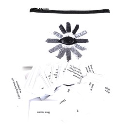 Clarity Power Pack – Mini Fortune Telling Cards – 166 Double-Sided Affirmation & Insight Prompts – Pocket-Sized Spiritual Deck with Zip Bag – Daily Guidance, Meditation, or Group Readings