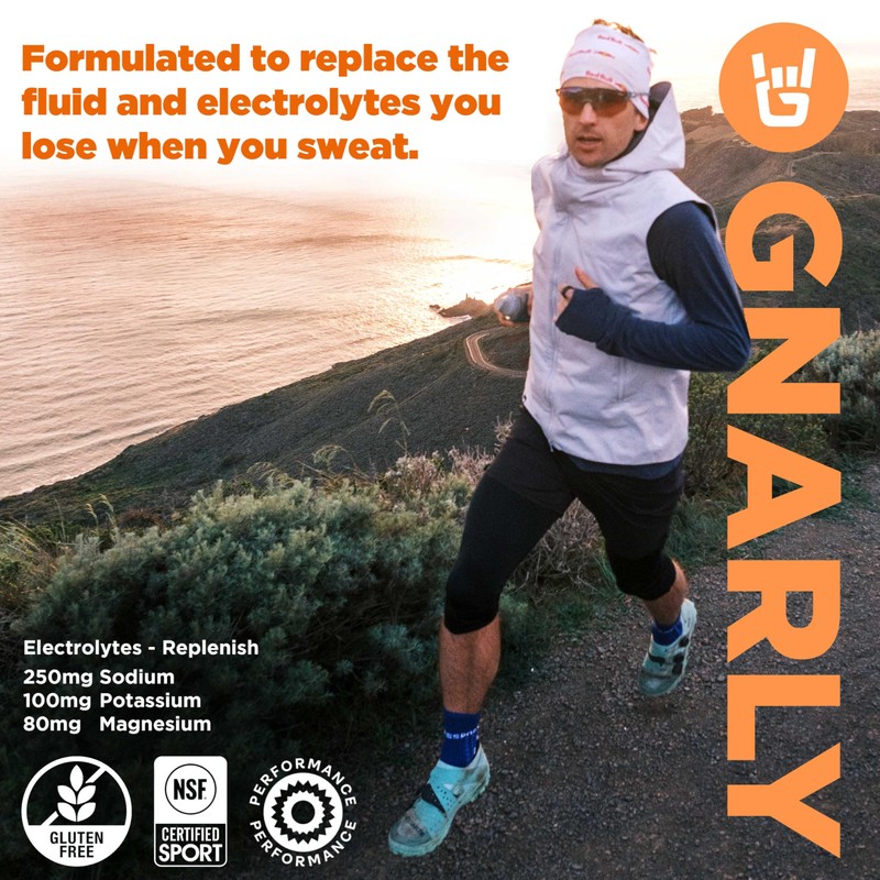 Gnarly Nutrition Hydrate Electrolyte Powder – Orange Pineapple Exercise Hydration