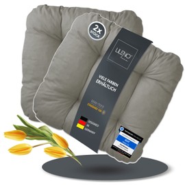 LILENO HOME Set of 2 Chair Cushions Light Grey (38 x 38 x 8 cm) Seat Cushions for Garden Chair Kitchen or Dining Room Chair Comfortable UVResistant Indoor and Outdoor Chair Cushion as Chair Cushion