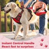 Funfox Dog Harnesses for Large Dogs, No Pull Dog Harness
