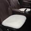 OGLAND 2 Pack Fluffy Genuine Australia Sheepskin Car Seat Cover