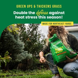 Sunday Northeast Seed + Feed - Grass Seed, Soil Conditioner, & Fertilizer Mix - Northeast Lawn Seed with Tall Fescue, Fine Fescue & Tetraploid Ryegrass - 9-0-2 NPK - Covers 1,500 sq. ft. - 10lbs