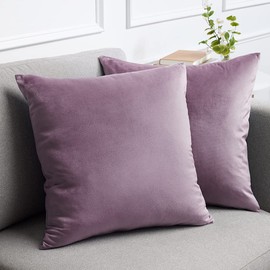 lalaLOOM Luxurious Silky Velvet Pillow Covers, Set of 2, Softest Decorative Throw Pillowcases, Hidden Zipper, Washable, Home Décor Accent Cases for Living Room Couch, Sofa, Bedroom, 16x16, Plum Purple