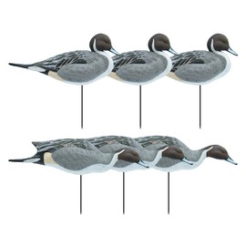 Final Approach Full Body Pintail Decoys, 6 Pack