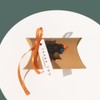 25 PCS Kraft Pillow Gift Box with Window Candy Treat