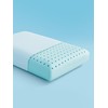 SLEEP ZONE Cooling Memory Foam Pillow - Odorless, Breathable, Skin-Friendly