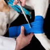 12 Rollos Vendaje Deportivo Autoadhesivo, Cinta Cohesiva Elástica de 5cm