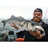 FIIISH Black Minnow 140-2 Jig heads Shore - 20g -