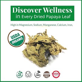 2.6oz Fresh Papaya Leaf Tea, 100% Natural Papaya Leaves, Loose Leaf Papaya Tea, Dried Papaya Leaf, Te De Papaya, Non GMO, Caffeine free. By Akshit