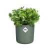 elho Happy Herbs 15 - Herb Pot Self-Watering - Propagation