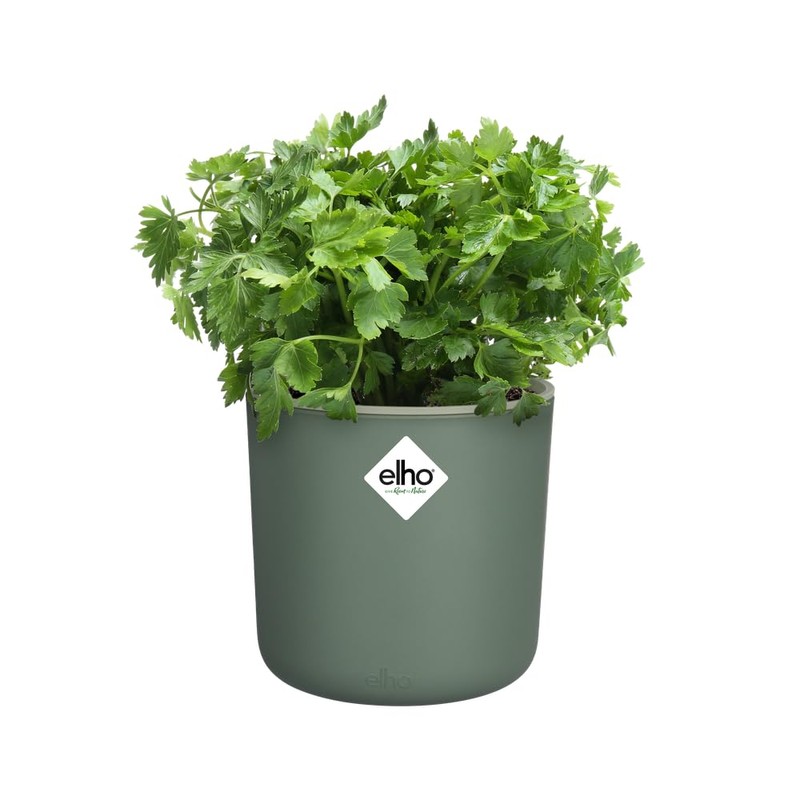 elho Happy Herbs 15 - Herb Pot Self-Watering - Propagation