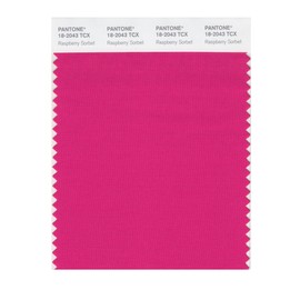 PANTONE Smart 18-2043X Color Swatch Card, Raspberry Sorbet