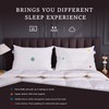 ROSE FEATHER Goose Down Feather Pillows Queen Size Set of