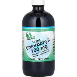 World Organic 100mg Liquid Chlorophyll - 16 Oz