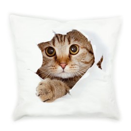 VIPbuy Super Soft Short Plush Square Throw Pillow Case Cushion Cover 45cm x 45cm (18" x 18") for Sofa Bed Chair, 3D Cat Pattern