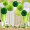 O-Kinee Set of 24 Colourful Tissue Paper Pom-Poms for Weddings,