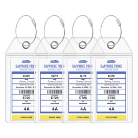 Princess Cruise Essentials (3 Items) Luggage Tag Holders, Power Strip & Cruise Lanyards with Retractable Reel