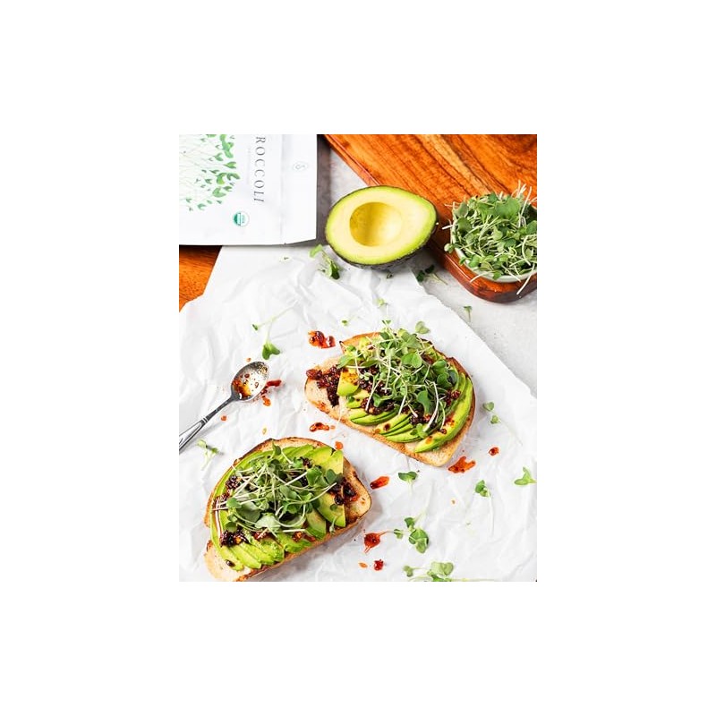 Organic Broccoli Sprout Seeds (8 oz) – Non-GMO, Heirloom Seeds