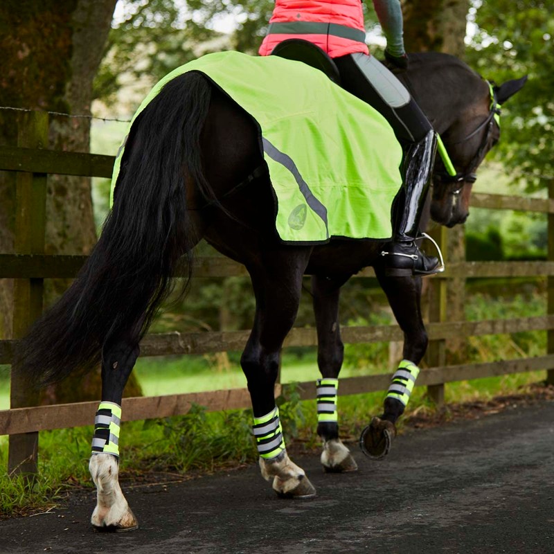 Masta Hi Viz Leg Wraps | Horse Leg Wraps