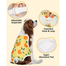 MICOOYO Dog Period Pants 3Pack, Reusable Dog Nappies Female with Adjustable Suspender, Washable Sanitary Pants for Female Dogs Cats Puppy(Fruit,XL)