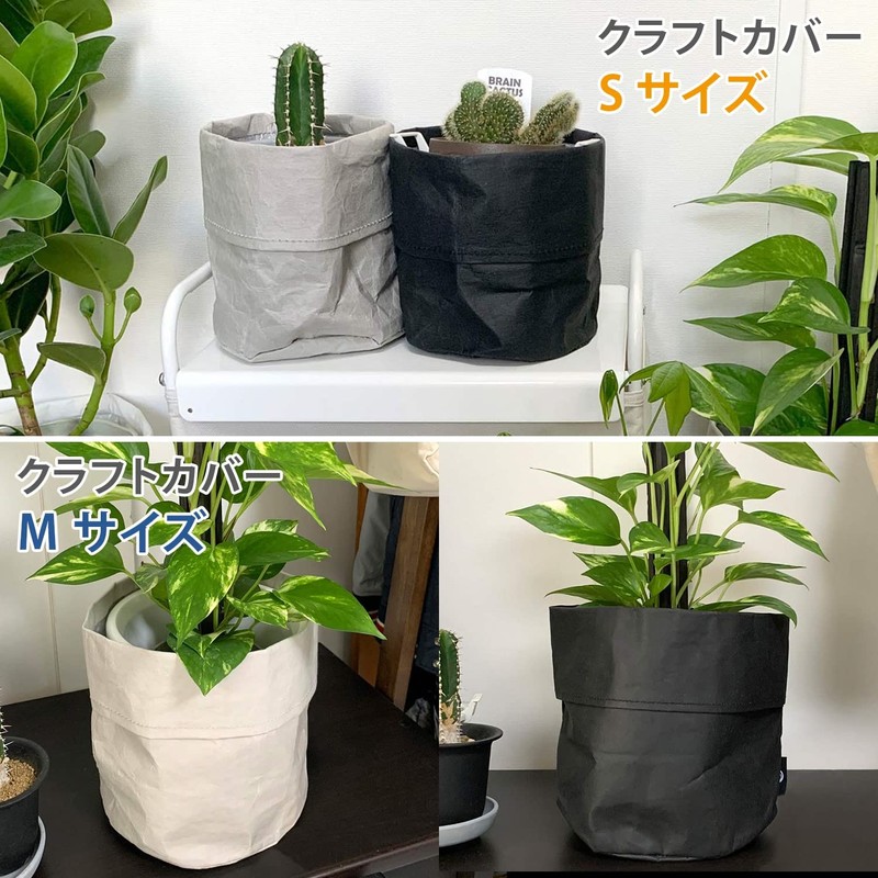 Yamazen Y-S PP-PCS-P-WH Planter Cover, House Plants, Can Store No.