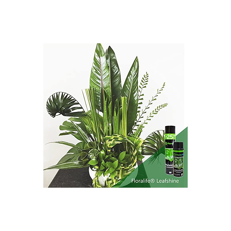 Leafshine Abrillantador para follajes y plantas