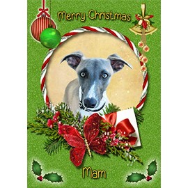 Whippet Dog Christmas Card Green 'Merry Christmas Mam' - Special Animal Xmas Card for Her Kids