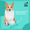 Wags & Wiggles Hypoallergenic Dog Wipes for Sensitive Skin, Fragrance
