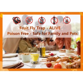 6 Pack Reusable Fruit Fly Trap, Non-Toxic Fruit Fly Catcher, Safe for Kids and Pets Fruit Fly Control, Trap for Alive Fruit Flies, Easy to Use for Kitchen, Home