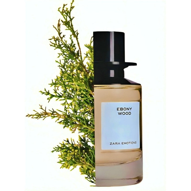 Zara Emotions Ebony Wood Perfume for Unisex Woody Fragrance with